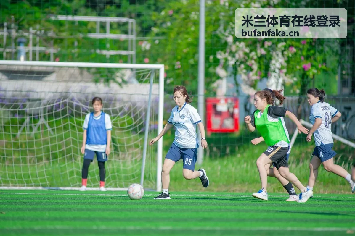 米兰体育在线登录账号安全验证流程示意