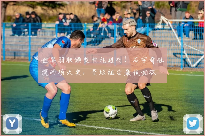 世界羽联颁奖典礼进行！石宇奇独揽两项大奖，圣坛组合最佳女双