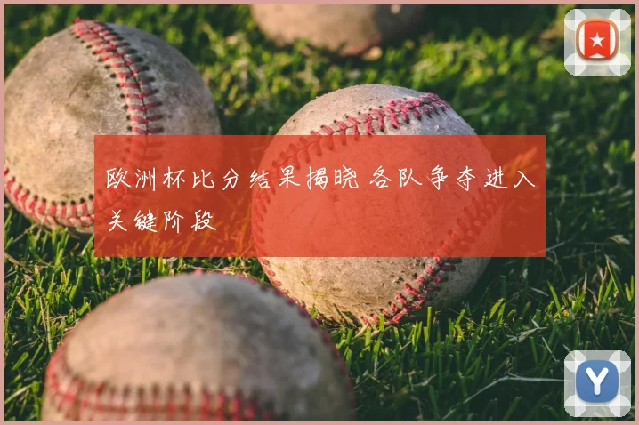 欧洲杯比分结果揭晓 各队争夺进入关键阶段